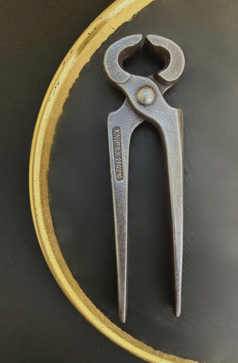 Pincers large