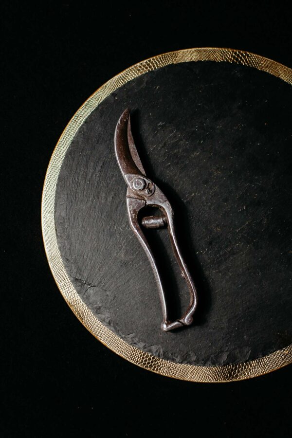 Garden shears