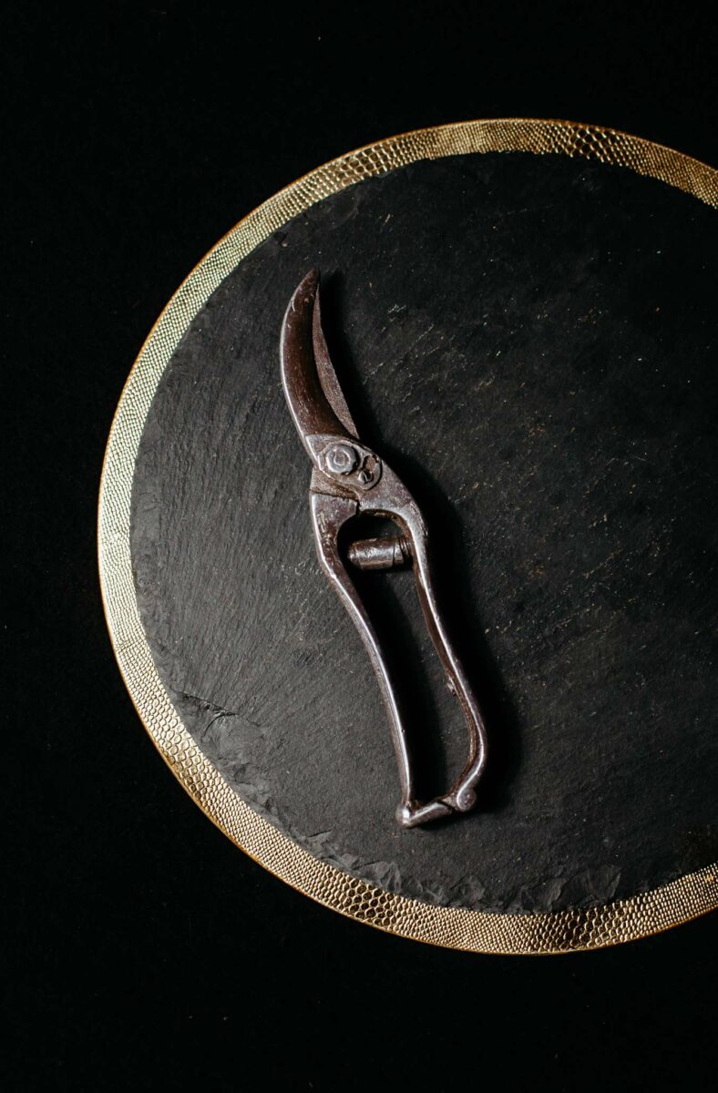 Garden shears