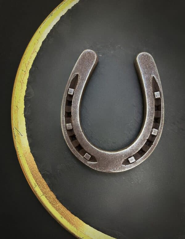 Horseshoe large