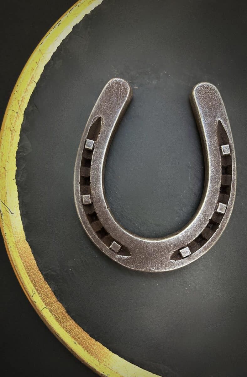 Horseshoe large