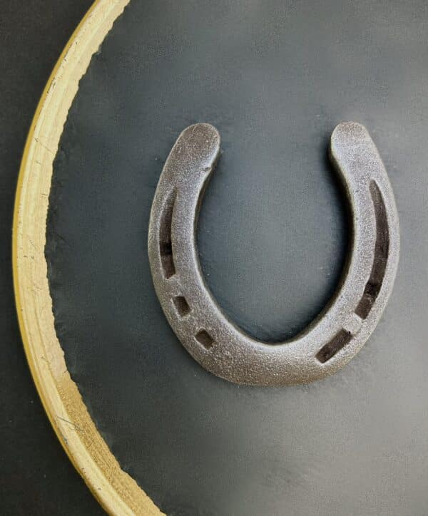 Horseshoe small