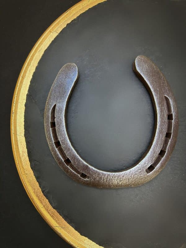 Horseshoe XXL